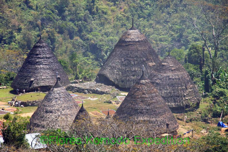 Wae Rebo Traditional Village 