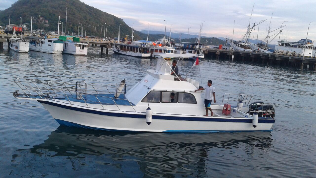 private speed boat komodo rinca