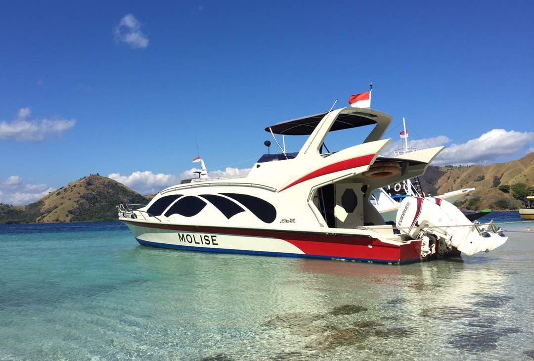 boat tour komodo national park